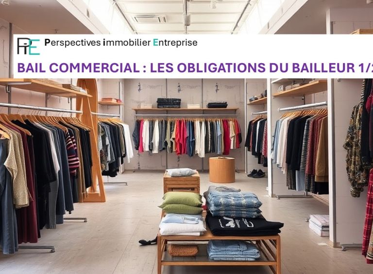 Local Professionnel et Bail Commercial : les 10 Obligations du Propriétaire-Bailleur - Partie 1/2